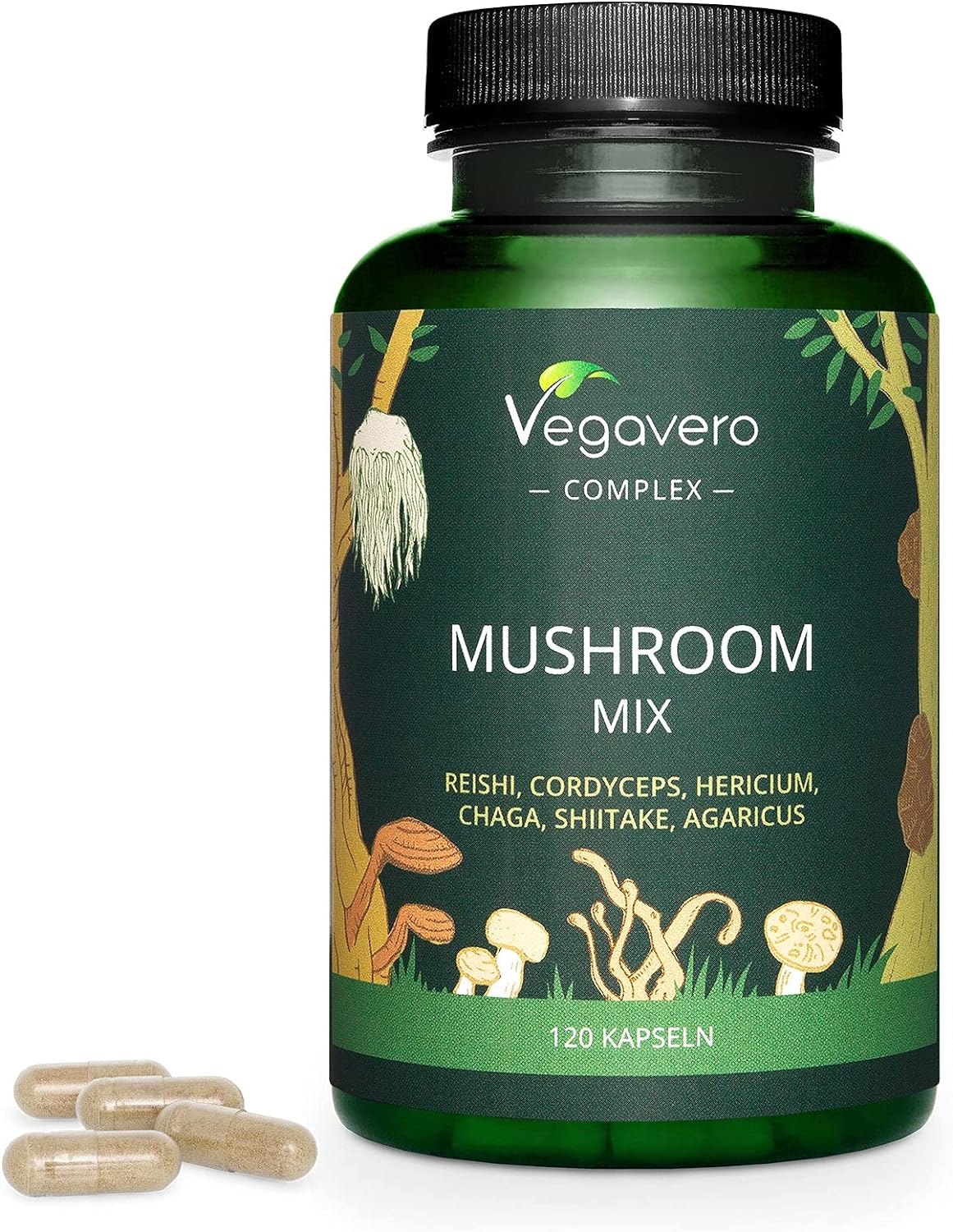 FUNGHI MEDICINALI Vegavero